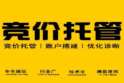案例剖析：SEM助力企业业绩增长